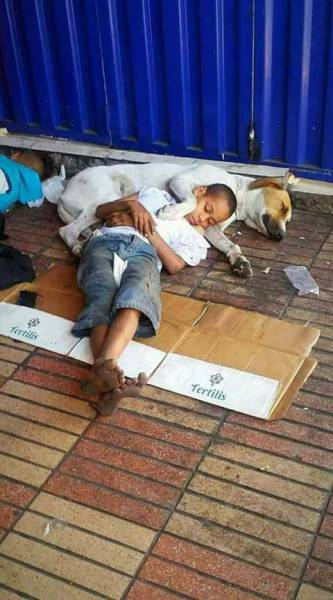 morning picdump 51 pics 9.html - 51 HD Photos | Premium Gallery 2017