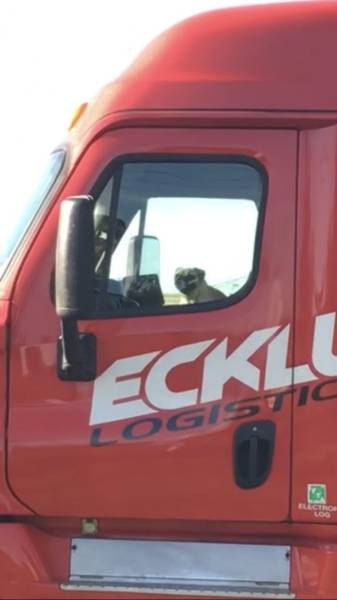 morning picdump 51 pics 9.html - 51 HD Photos | Premium Gallery 2017