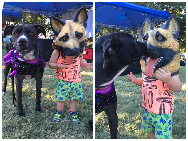 morning picdump 51 pics 9.html - 51 HD Photos | Premium Gallery 2017