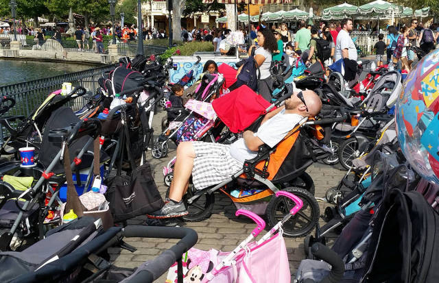 morning picdump 51 pics 9.html - 51 HD Photos | Premium Gallery 2017