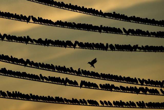 daily picdump 96 pics 38.html - 96 HD Photos | Premium Gallery 2017