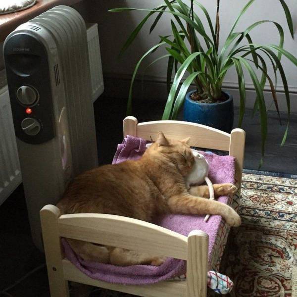 daily picdump 96 pics 38.html - 96 HD Photos | Premium Gallery 2017