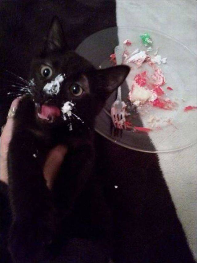 daily picdump 96 pics 38.html - 96 HD Photos | Premium Gallery 2017