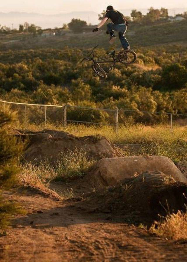 daily picdump 96 pics 38.html - 96 HD Photos | Premium Gallery 2017