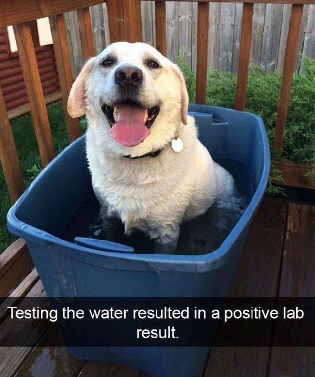 daily picdump 96 pics 38.html - 96 HD Photos | Premium Gallery 2017