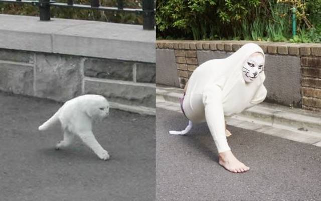 morning picdump 54 pics 19.html - 54 HD Photos | Premium Gallery 2017