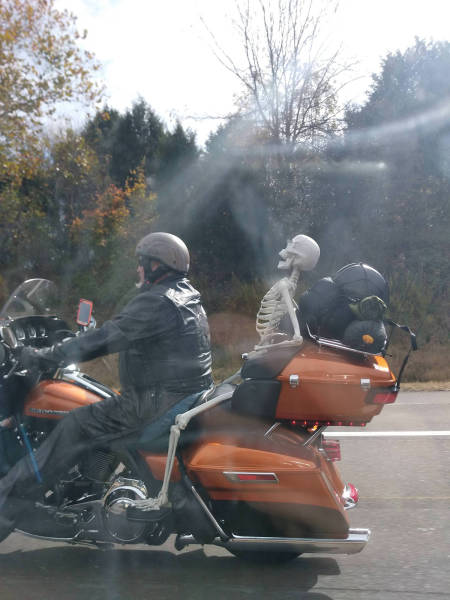 morning picdump 54 pics 19.html - 54 HD Photos | Premium Gallery 2017