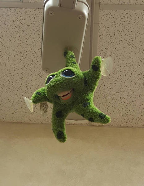 morning picdump 54 pics 19.html - 54 HD Photos | Premium Gallery 2017