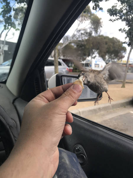 morning picdump 51 pics 4.html - 51 HD Photos | Premium Gallery 2017