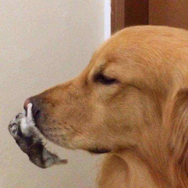 morning picdump 51 pics 4.html - 51 HD Photos | Premium Gallery 2017