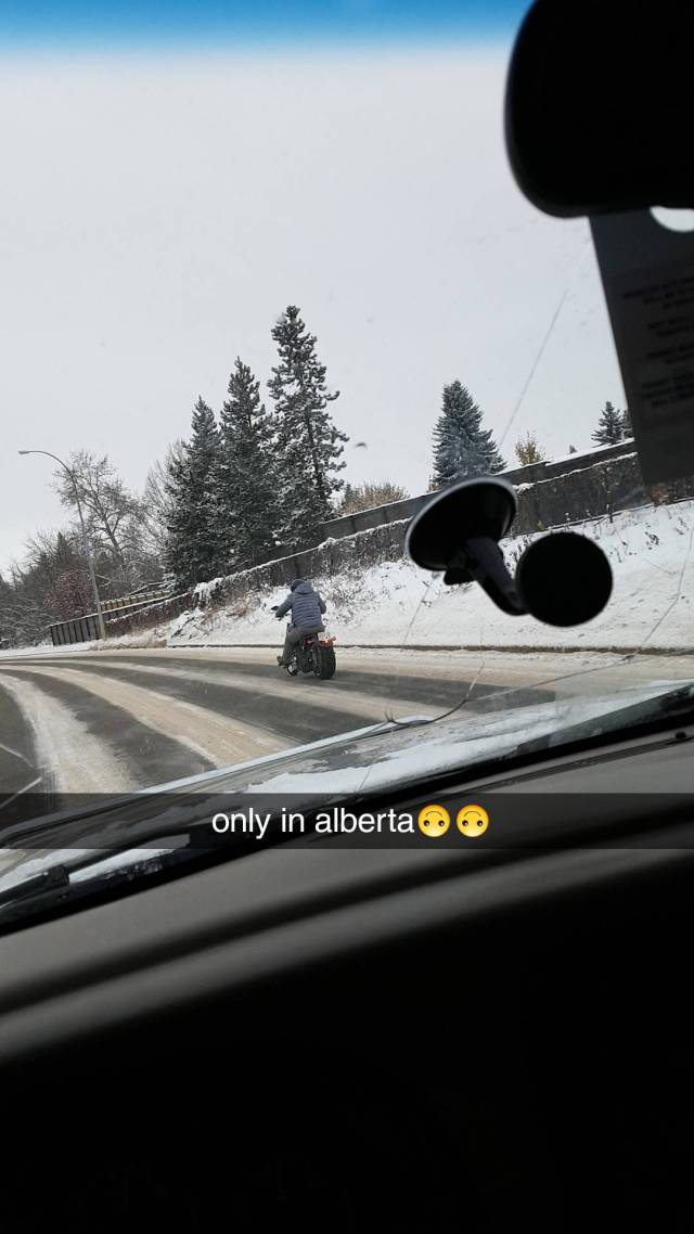 morning picdump 51 pics 4.html - 51 HD Photos | Premium Gallery 2017