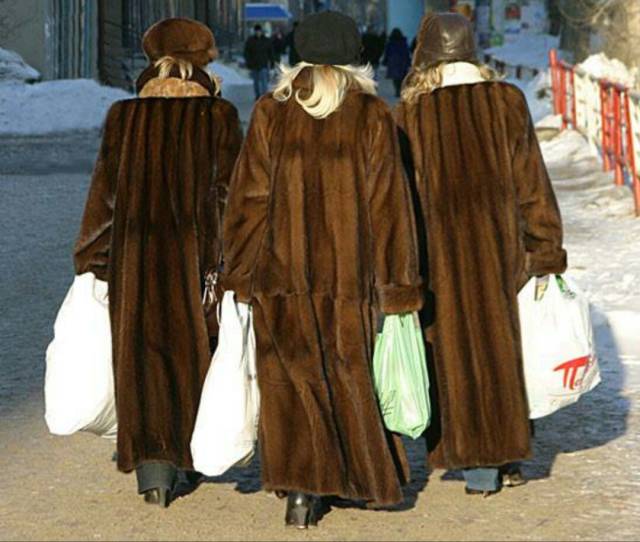 daily picdump weekend edition 66 pics 14.html - 66 HD Photos | Premium Gallery 2017