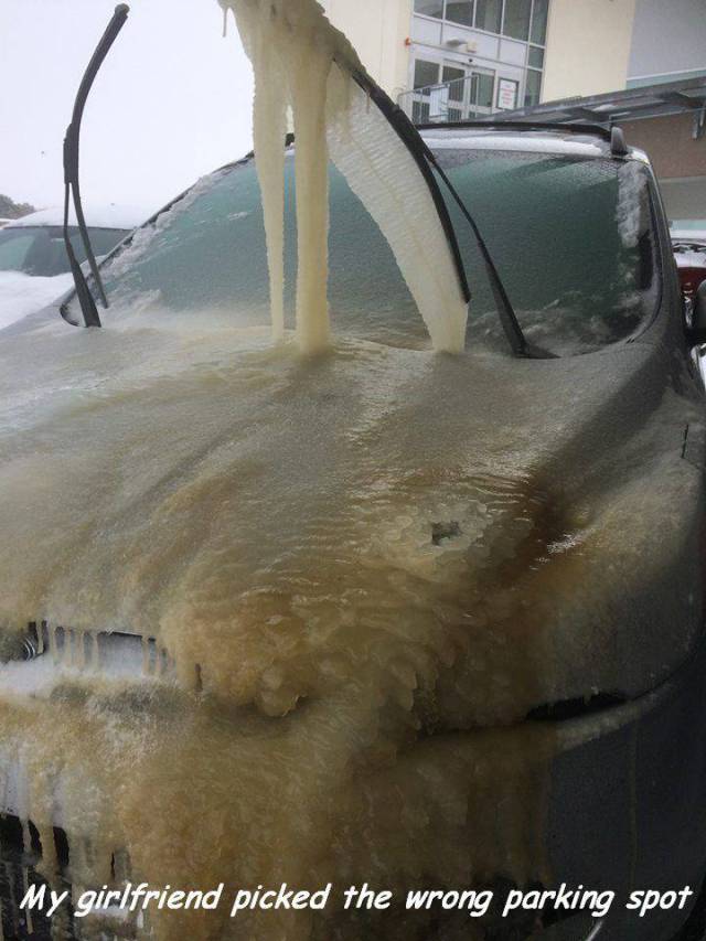 Daily Picdump [WEEKEND EDITION]