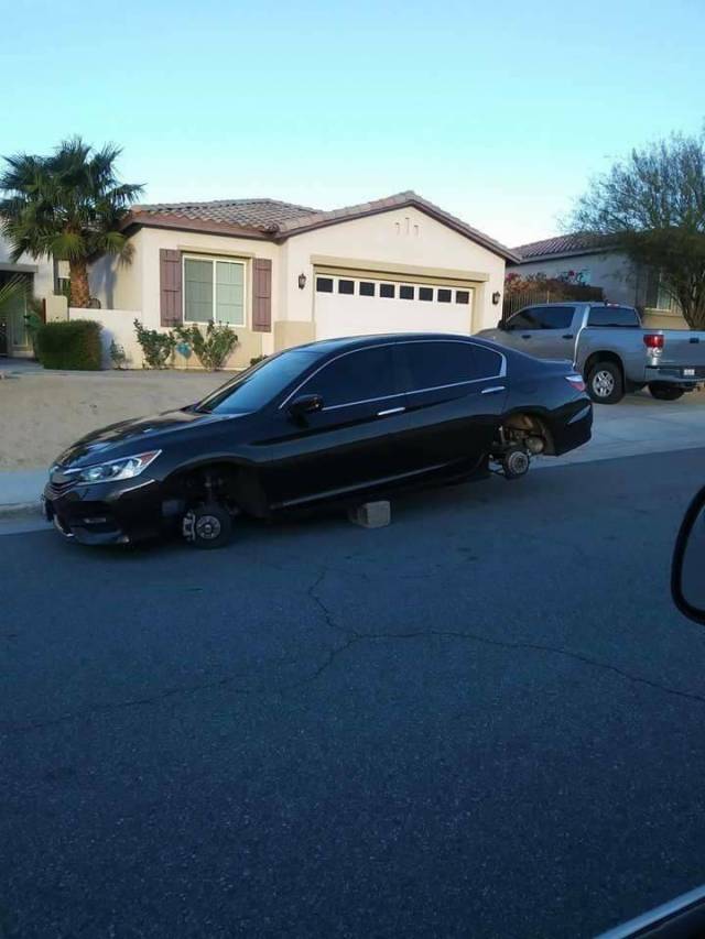 Daily Picdump [WEEKEND EDITION]