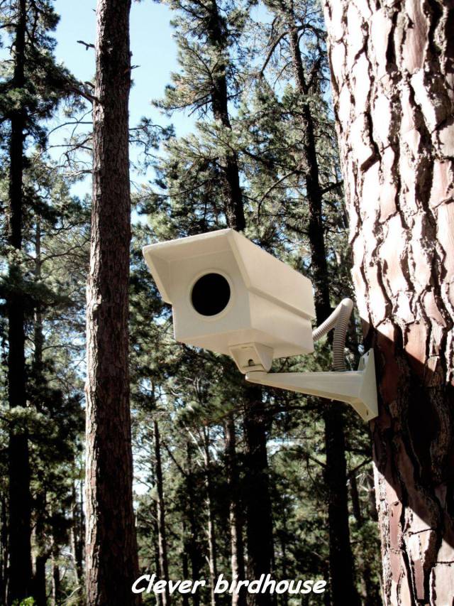 Daily Picdump [WEEKEND EDITION]