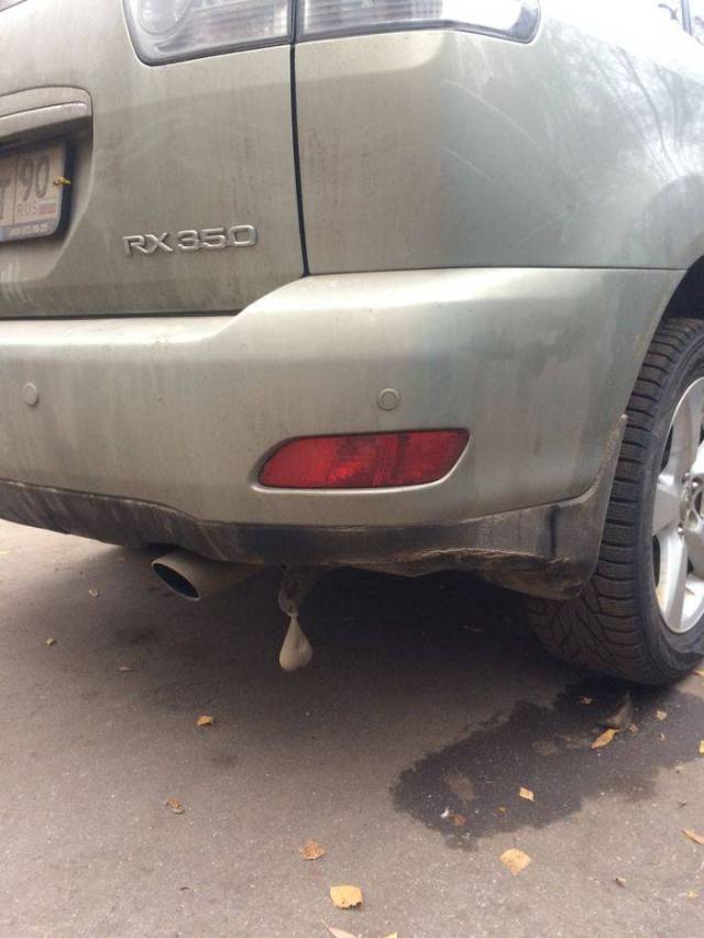 daily picdump weekend edition 66 pics 14.html - 66 HD Photos | Premium Gallery 2017