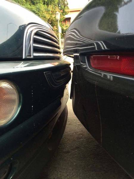 daily picdump 80 pics 38.html - 80 HD Photos | Premium Gallery 2017