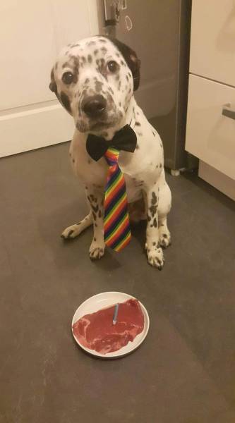 daily picdump 80 pics 38.html - 80 HD Photos | Premium Gallery 2017