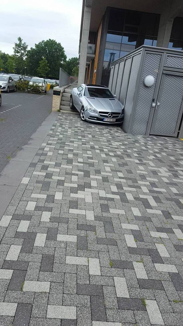 daily picdump 80 pics 38.html - 80 HD Photos | Premium Gallery 2017