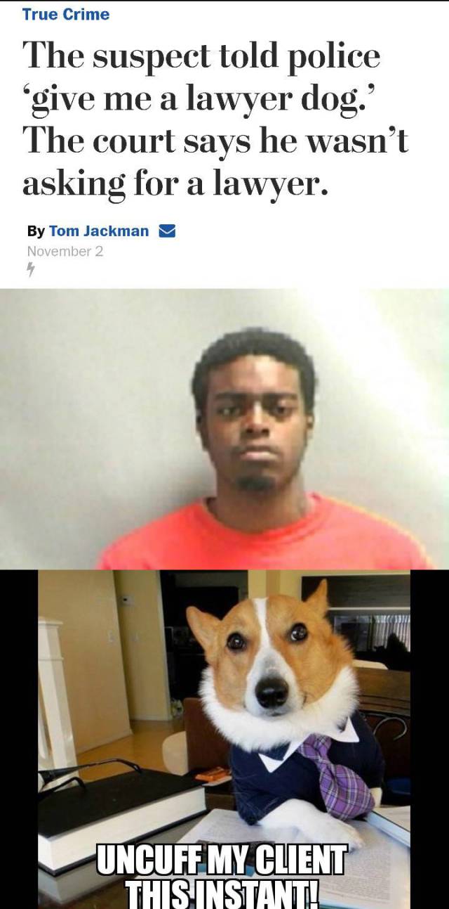 Funny Picdump