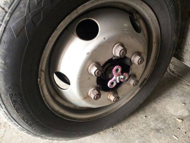 Morning Picdump