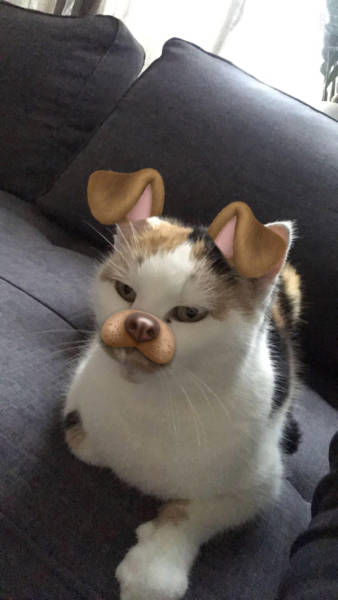 morning picdump 50 pics 1.html - 50 HD Photos | Premium Gallery 2017