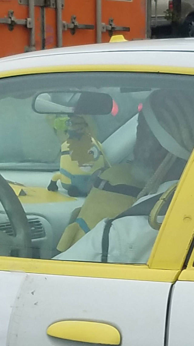 morning picdump 50 pics 1.html - 50 HD Photos | Premium Gallery 2017