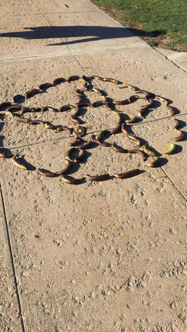 morning picdump 50 pics 1.html - 50 HD Photos | Premium Gallery 2017