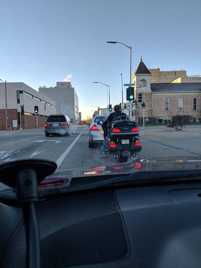 Daily Picdump [WEEKEND EDITION]