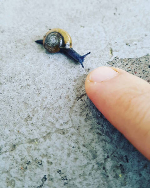 daily picdump 80 pics 39.html - 80 HD Photos | Premium Gallery 2017