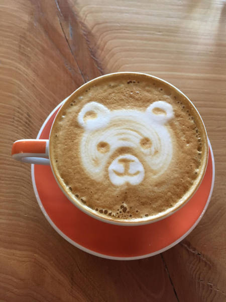 daily picdump 80 pics 39.html - 80 HD Photos | Premium Gallery 2017