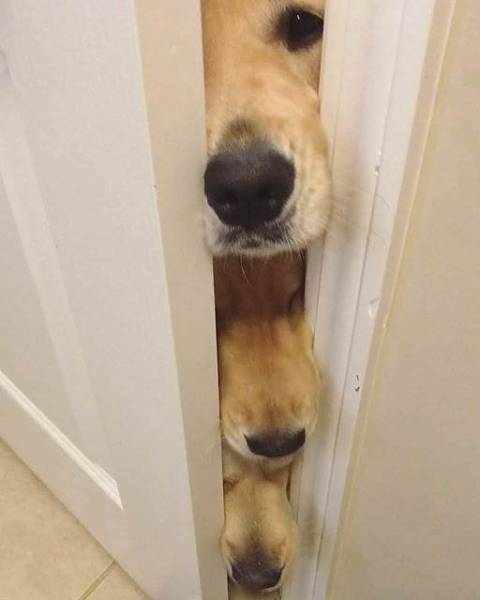 daily picdump 80 pics 39.html - 80 HD Photos | Premium Gallery 2017