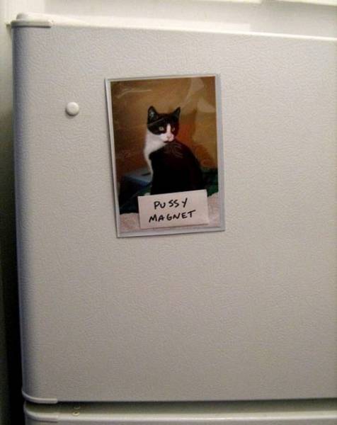 daily picdump 80 pics 39.html - 80 HD Photos | Premium Gallery 2017