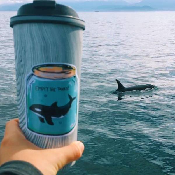 daily picdump 80 pics 39.html - 80 HD Photos | Premium Gallery 2017