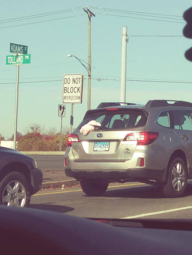 daily picdump 80 pics 39.html - 80 HD Photos | Premium Gallery 2017