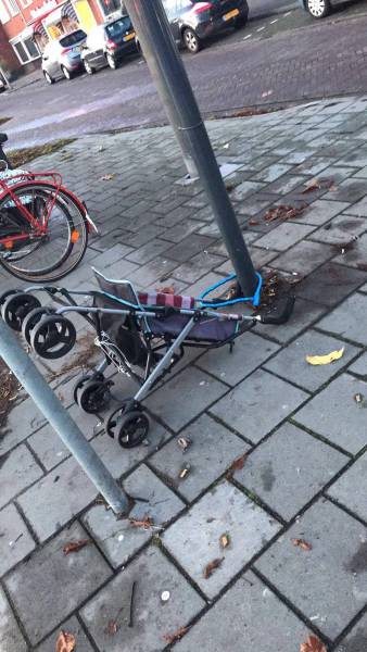 daily picdump 81 pics 1.html - 81 HD Photos | Premium Gallery 2017