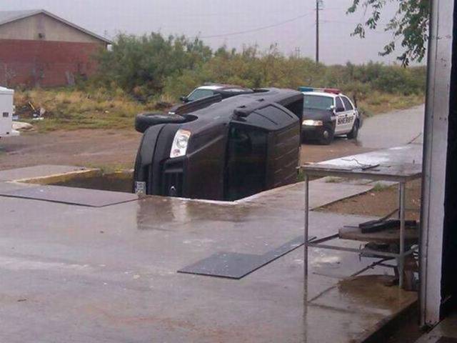 daily picdump 81 pics 1.html - 81 HD Photos | Premium Gallery 2017