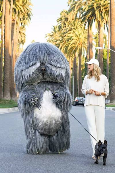 daily picdump 81 pics 1.html - 81 HD Photos | Premium Gallery 2017