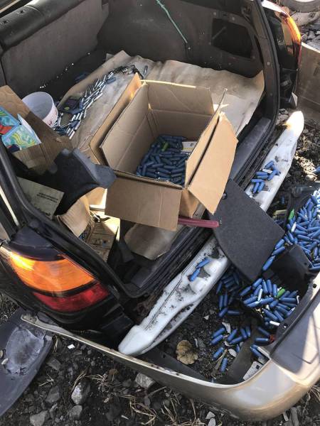 daily picdump 81 pics 1.html - 81 HD Photos | Premium Gallery 2017