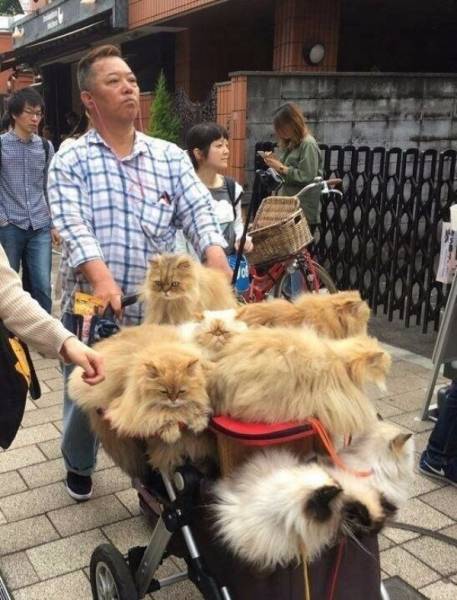 morning picdump 51 pics 21.html - 51 HD Photos | Premium Gallery 2017