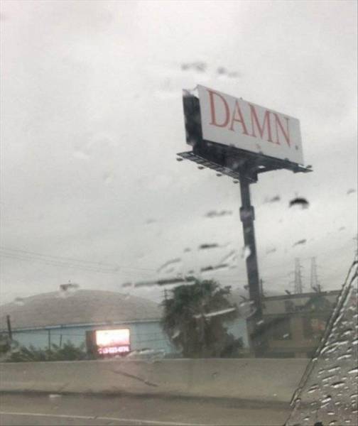 morning picdump 51 pics 21.html - 51 HD Photos | Premium Gallery 2017