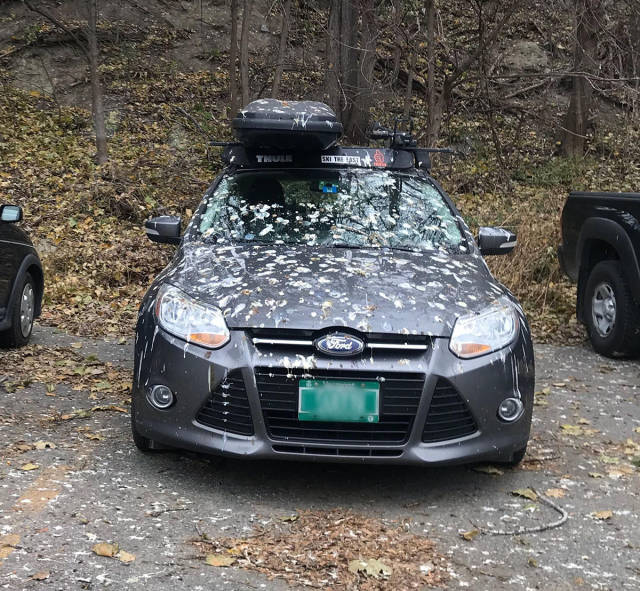 morning picdump 51 pics 21.html - 51 HD Photos | Premium Gallery 2017