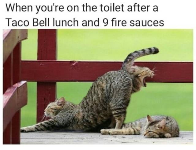 Dirty Humor Is At It Again!