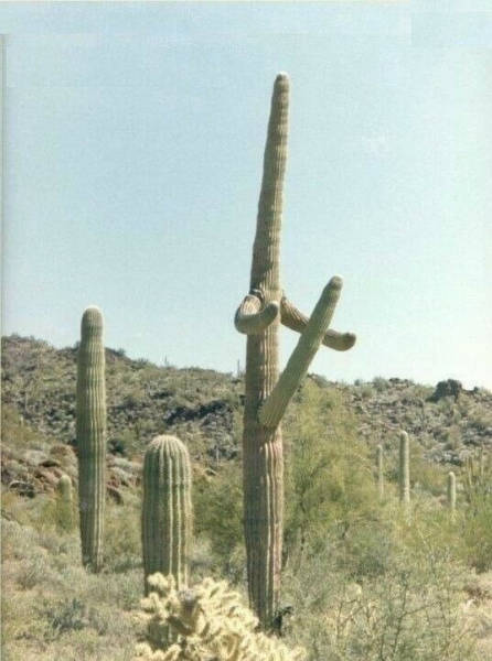 Dirty Humor Is At It Again!