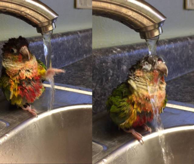 Morning Picdump
