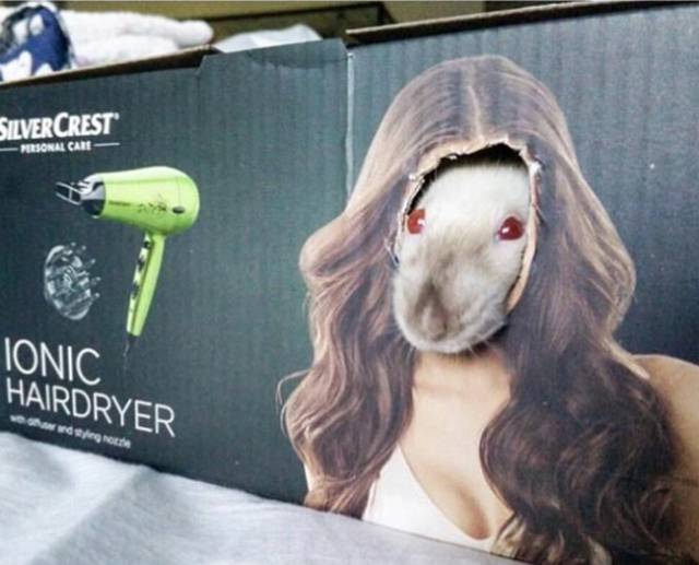 morning picdump 50 pics 12.html - 50 HD Photos | Premium Gallery 2017