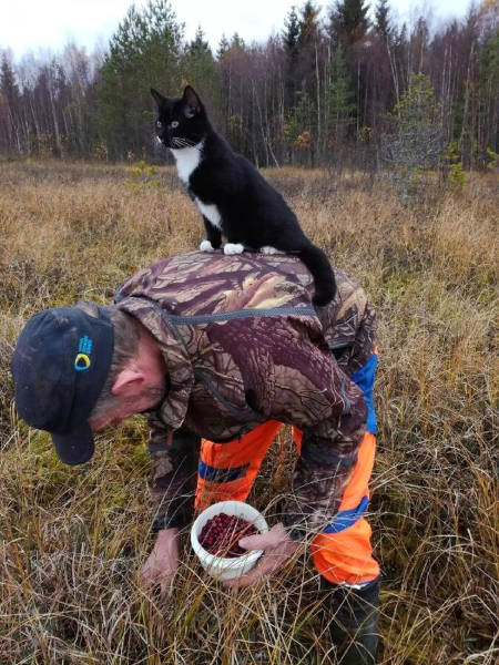 morning picdump 50 pics 12.html - 50 HD Photos | Premium Gallery 2017