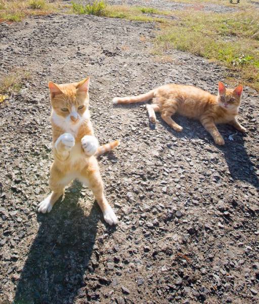 Daily Picdump