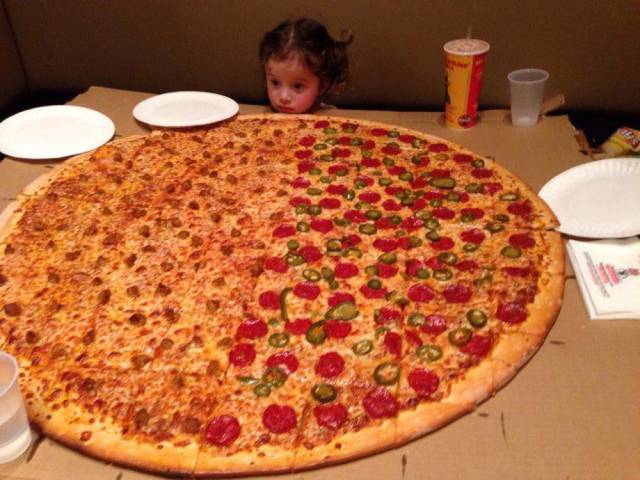 Daily Picdump