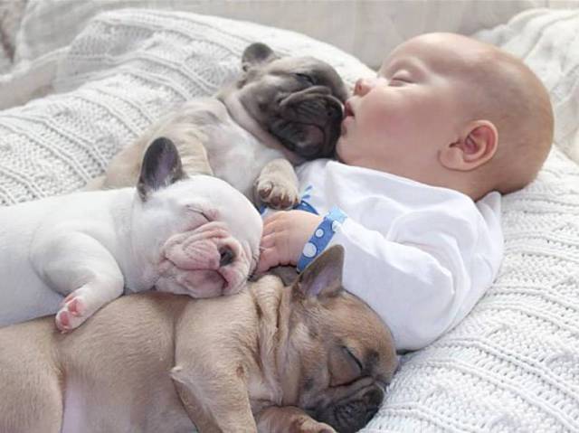 daily picdump 80 pics 2.html - 80 HD Photos | Premium Gallery 2017